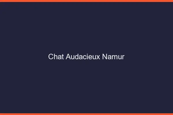 Chat Audacieux Namur