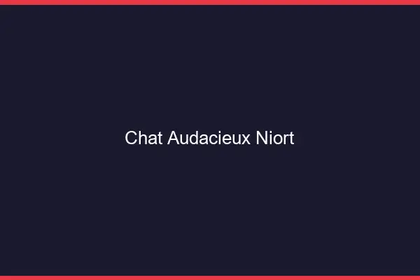 Chat Audacieux Niort