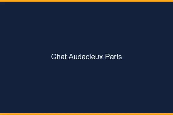 Chat Audacieux Paris