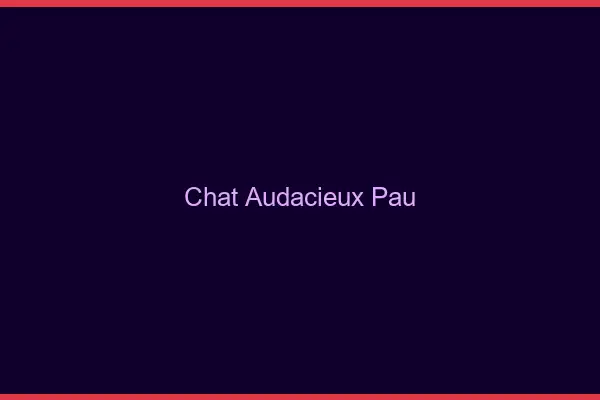 Chat Audacieux Pau