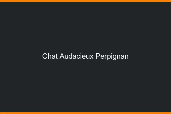 Chat Audacieux Perpignan