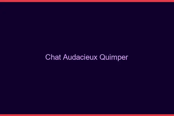 Chat Audacieux Quimper
