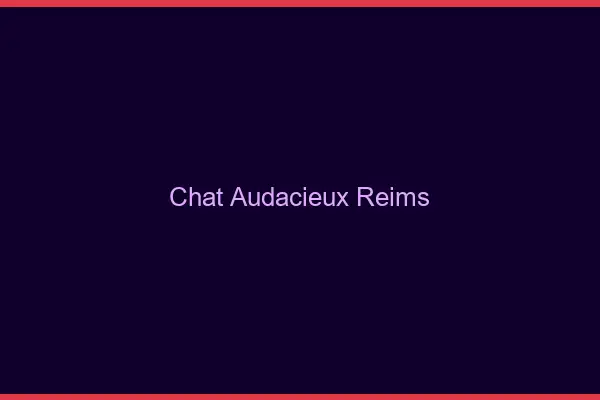 Chat Audacieux Reims