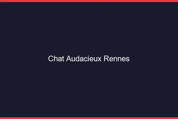 Chat Audacieux Rennes