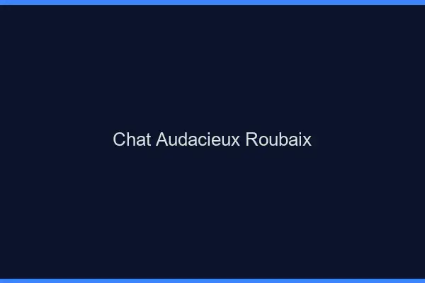 Chat Audacieux Roubaix