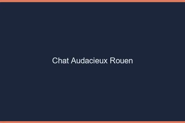 Chat Audacieux Rouen