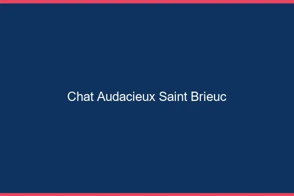 Chat Audacieux Saint-Brieuc
