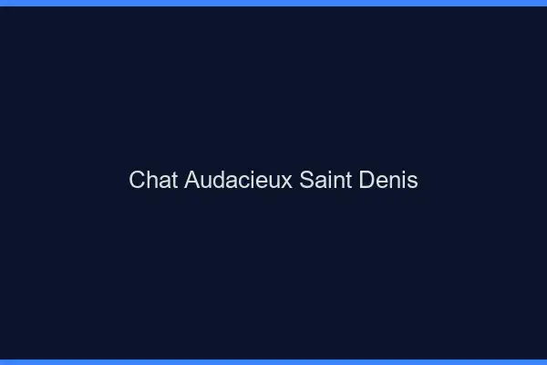 Chat Audacieux Saint-Denis