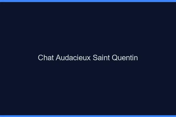 Chat Audacieux Saint-Quentin