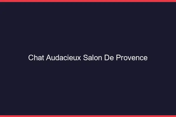 Chat Audacieux Salon-de-Provence
