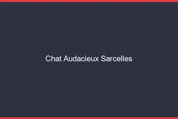 Chat Audacieux Sarcelles