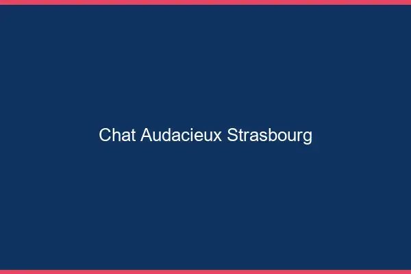 Chat Audacieux Strasbourg