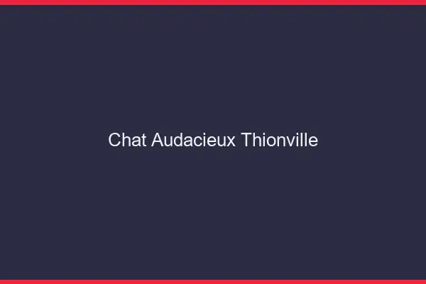 Chat Audacieux Thionville