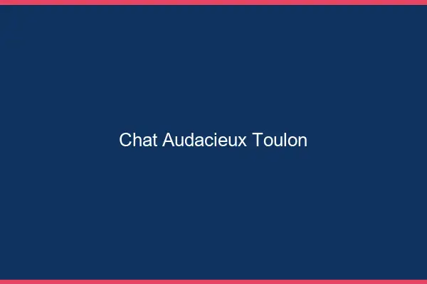 Chat Audacieux Toulon