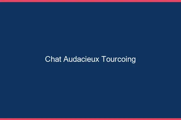Chat Audacieux Tourcoing