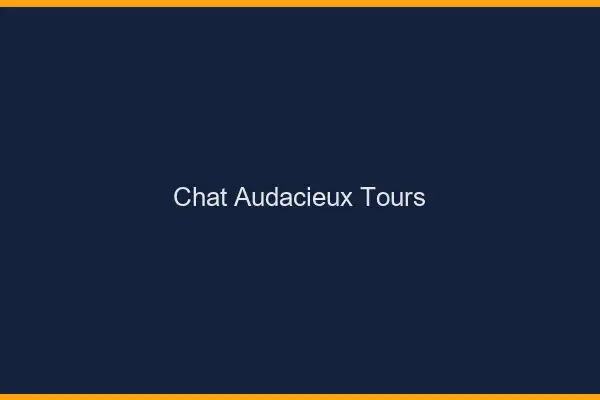 Chat Audacieux Tours