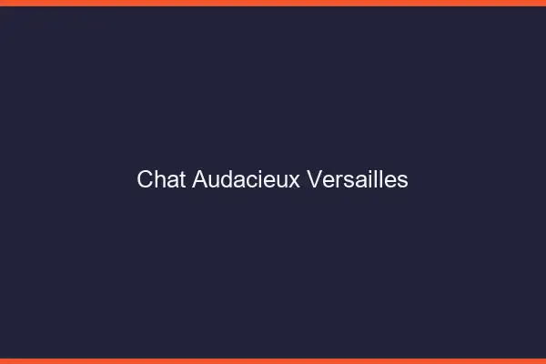 Chat Audacieux Versailles