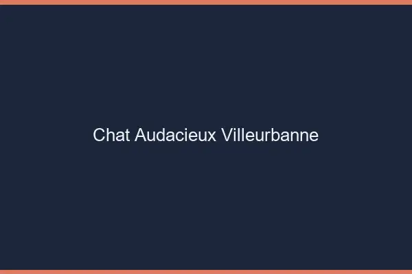 Chat Audacieux Villeurbanne