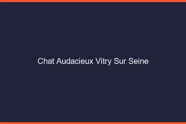 Chat Audacieux Vitry-sur-Seine