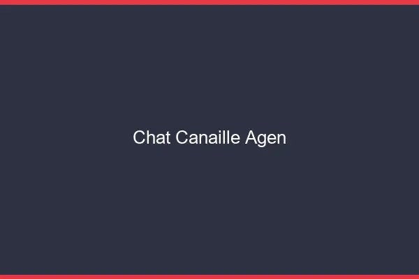 Chat Canaille Agen