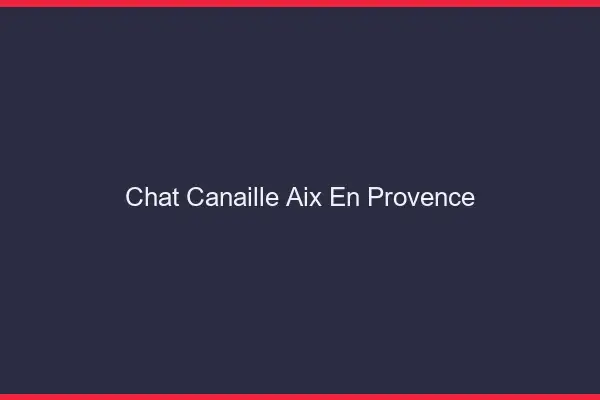 Chat Canaille Aix-en-Provence