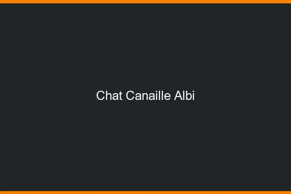 Chat Canaille Albi