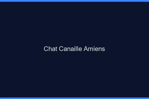 Chat Canaille Amiens