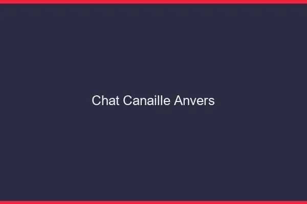 Chat Canaille Anvers