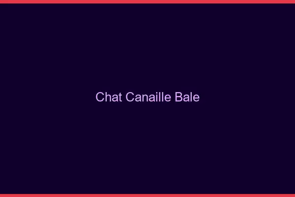 Chat Canaille Bâle