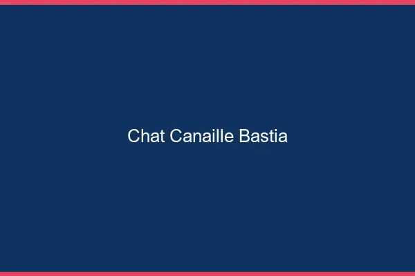 Chat Canaille Bastia