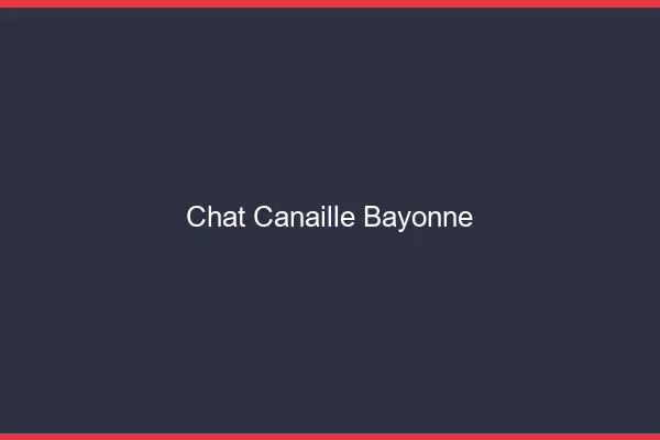 Chat Canaille Bayonne
