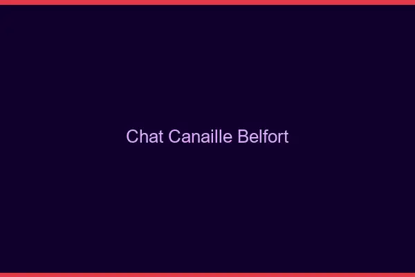 Chat Canaille Belfort