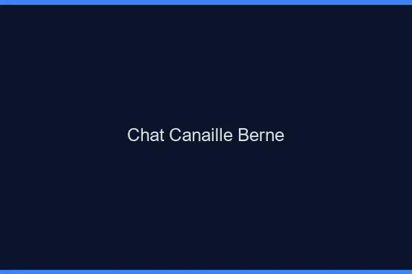 Chat Canaille Berne