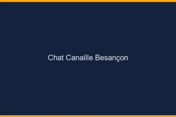 Chat Canaille Besançon