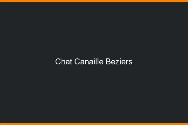 Chat Canaille Béziers