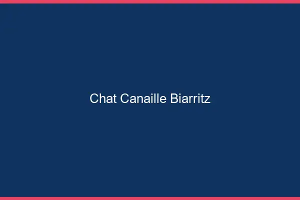 Chat Canaille Biarritz