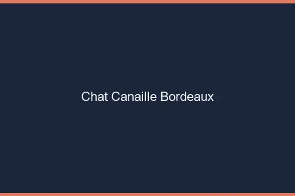 Chat Canaille Bordeaux
