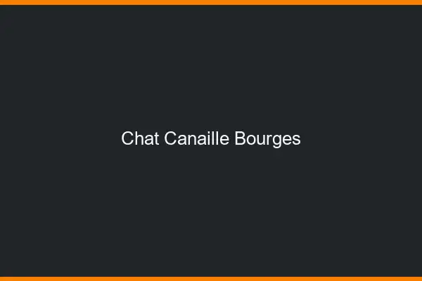 Chat Canaille Bourges