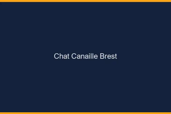 Chat Canaille Brest