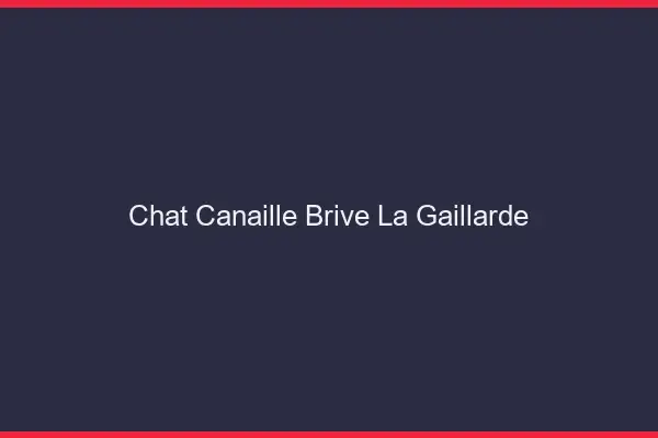 Chat Canaille Brive-la-Gaillarde
