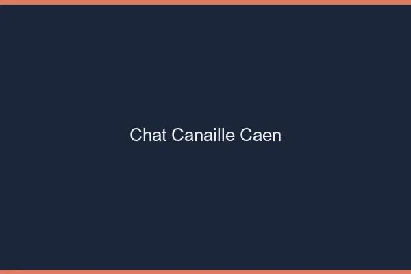 Chat Canaille Caen