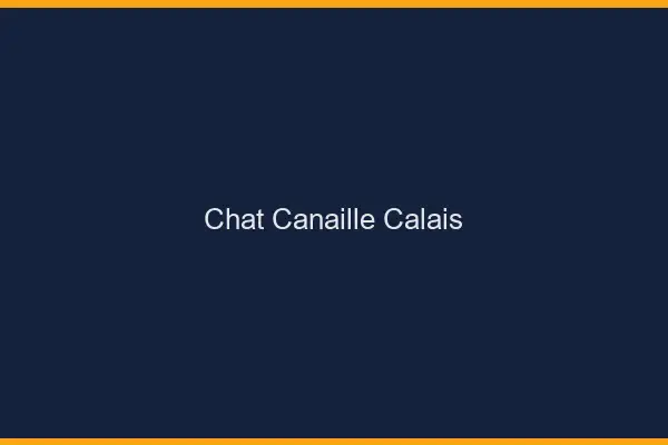 Chat Canaille Calais