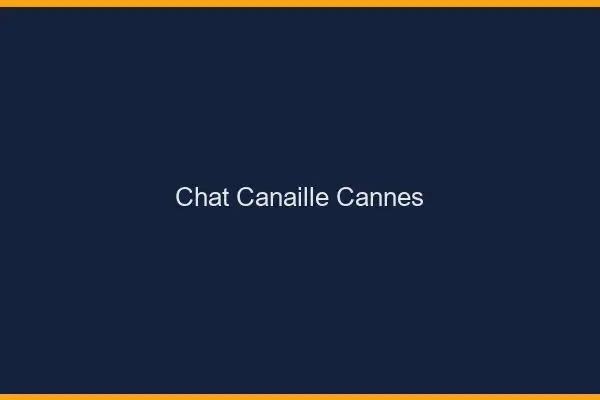 Chat Canaille Cannes