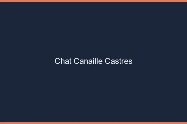 Chat Canaille Castres