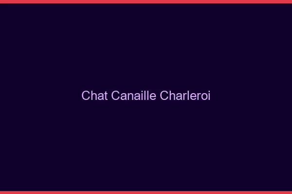 Chat Canaille Charleroi