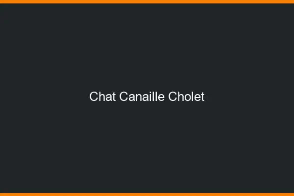Chat Canaille Cholet