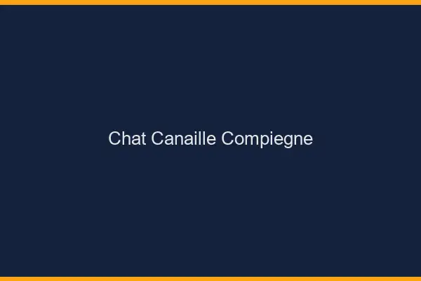 Chat Canaille Compiègne
