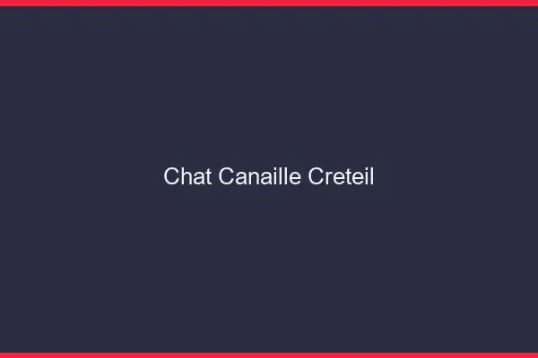 Chat Canaille Créteil