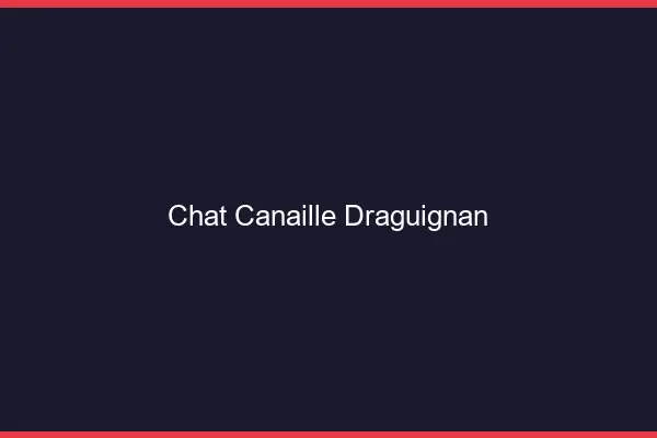 Chat Canaille Draguignan