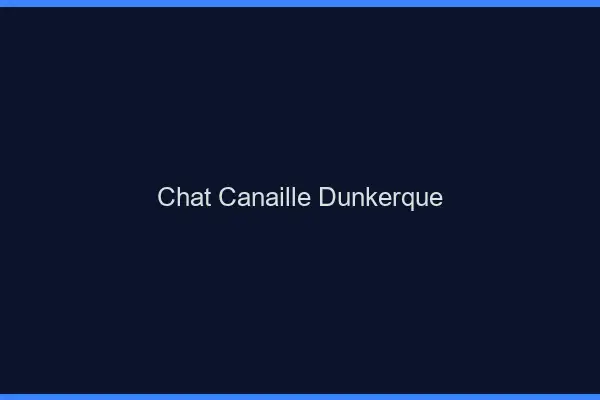 Chat Canaille Dunkerque
